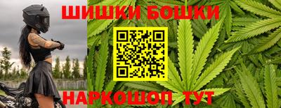 индика Кулебаки