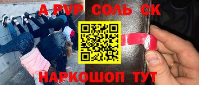 индика Кулебаки